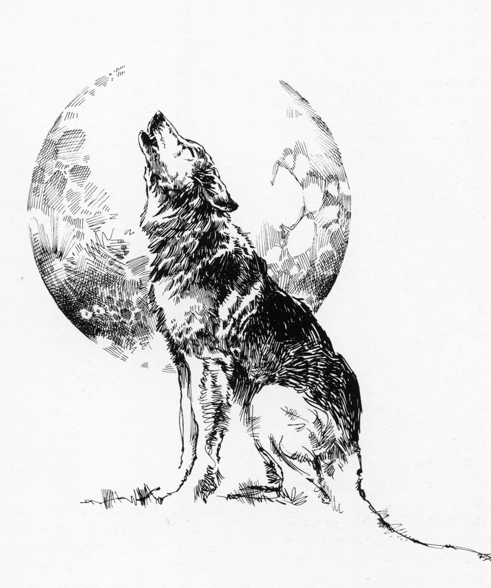 Howl At The Moon